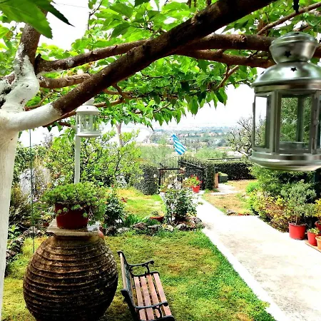 Vasiliki *