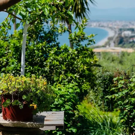 Vasiliki Apartment Kalamata