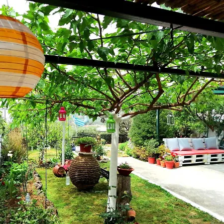 Apartment Vasiliki *