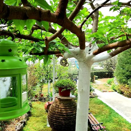 Vasiliki Apartment